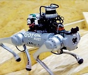 KAIST 로봇개, 보행로봇 올림픽 우승