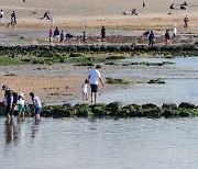 '시원한 제주 해변 산책'