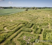 DENMARK LABYRINTH