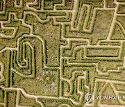 DENMARK LABYRINTH