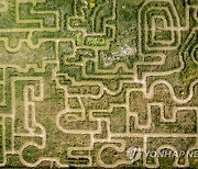 DENMARK LABYRINTH