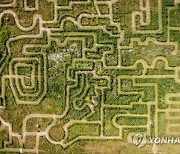 DENMARK LABYRINTH