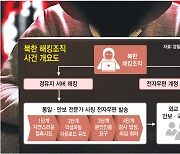 [단독] 北 ‘김수키’ 공격 인프라는 국내에…구멍 난 '호스팅 보안'