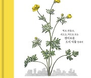 "식물 세밀화의 원조, 큐 왕립 식물원과의 협업으로 재탄생하다!
