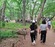속리산국립공원사무소 11일 '명사와 함께 세조길 걷기' 개최