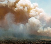 캐나다 산불 여파 미국까지…뉴욕 공기, 뉴델리와 맞먹는 수준