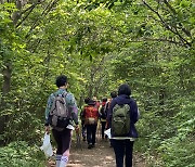 태백 '1,418m 천상의 화원, 금대봉' 친환경 야생화 트레킹 도전! 