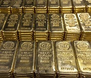 한은 “금값 추가 상승 불확실… 금 비중 늘릴 필요 없다”