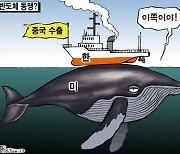 한국일보 6월 8일 만평