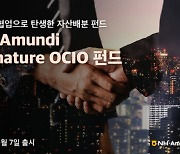 NH아문디, OCIO 펀드 출시