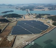 “출력제어 위법”…태양광 발전 사업자, 정부 상대 첫 소송