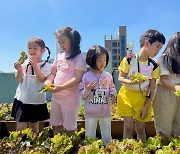 부산 대청동주민센터 새싹교실, 어린이들 화분에 꽃 심기 활동