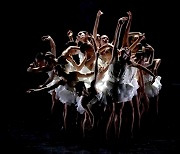 French visionary Preljocaj's ballet 'Swan Lake' brings ecological narrative to timeless classic