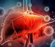 "C형간염 국가검진 도입"… 2027년까지 간질환 사망 40% 줄인다