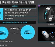 '반지의 제왕' 누가 될까…애플-삼성 '스마트 링'서 맞붙는다