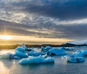 “북극해 얼음 2030년 소멸된다”…기존 예측보다 10년 당겨져
