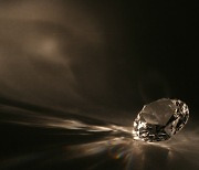 ‘가짜 다이아몬드’로 380억 대출받은 대부업자 등 일당 2심서 감형