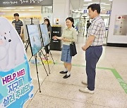 부산 수영구, '세계환경의 날 맞이 기후 위기 관련 사진전시회' 개최