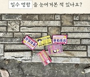 신용대출 명함, 에듀윌 광고 지나치지 마라…영감이 여기 있다