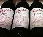 호주 펜폴즈가 생산한 와인