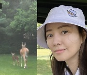 권상우♥손태영 미국 집, 얼마나 크면 '사슴이 찾아올 정도'…놀라운 "아침 손님"