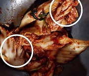 반찬 재사용 단골 메뉴는 '김치'...식당 8곳 적발