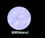 63광년 떨어진 외계행성 이름, 한국 여고생이 지은 ‘마루’ ‘아라’ 됐다