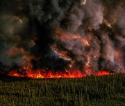 올해 북반구 곳곳 대규모 산불... “기후 변화로 기온 상승 탓”