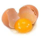 생후 12개월 때 달걀 자주 먹으면 달걀 알레르기 ‘뚝’
