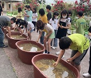 해남군, 도시학교 친환경 쌀 체험포 설치