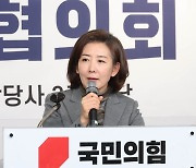 나경원 "文 종전선언 삭제 뭉클…尹정부 안보전략 완성됐다"