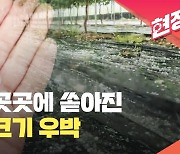 경북 곳곳에 우박 쏟아져…대기 불안정해 돌풍·천둥·번개도 주의 [현장영상]