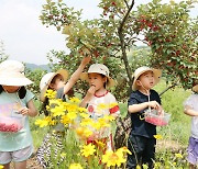 충주 ‘소탱이골 보리수길’을 아시나요[포토뉴스]