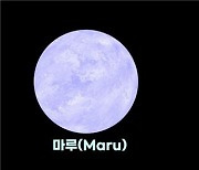 제임스웹 관측 앞둔 항성과 행성 우리말 이름 '마루·아라' 붙인다