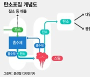 땅속에 탄소 묻으면 지진난다?..."일본도 뛰어든 안전한 기술"