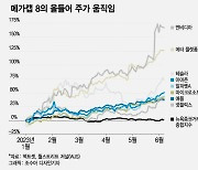 흔들리는 엔비디아…질주하던 美 메가캡, 드디어 조정 시작하나