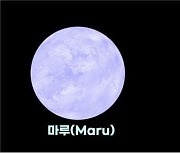 저 별은 '마루', 저 별은 '아라'…외계행성에 친근한 이름이