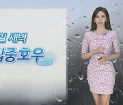 [날씨] 곳곳 요란한 비…수도권·영서 집중호우
