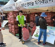 제주농협, 10일 제주산 햇마늘 5t 직거래 장터