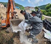 충북 6개 시·군으로 퍼진 과수화상병…한 달 누적 45건 11.6㏊