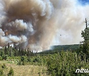 캐나다, 전국적 산불 진압 '난항'…화재진압 물품 및 인력 태부족