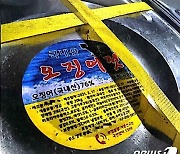 중국산 오징어 젓갈을 국내산으로 '뚜껑갈이' 일당 검거