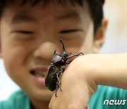 '장수풍뎅이가 내 손에'