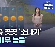 대구·경북 곳곳 '소나기'···자외선 '매우 높음'