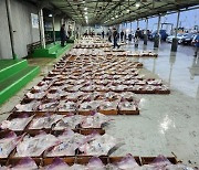 군산 앞바다 홍어 어획량 7월부터 제한