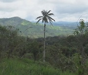 에콰도르, 생물보호구역서 채굴 사업 논란
