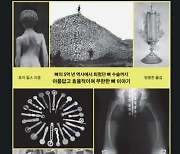 사람의 뼈가 206개가 아니라고요?[책과삶]