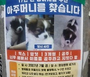 "16년 전 대구서 공주 분양해준 아주머니 찾아요···죽기 전 꼭 만나게 해주고 싶어요" 절절한 사연 '뭉클'