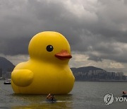 APTOPIX Hong Kong Giant Ducks