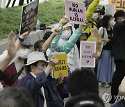 Japan Immigration Law